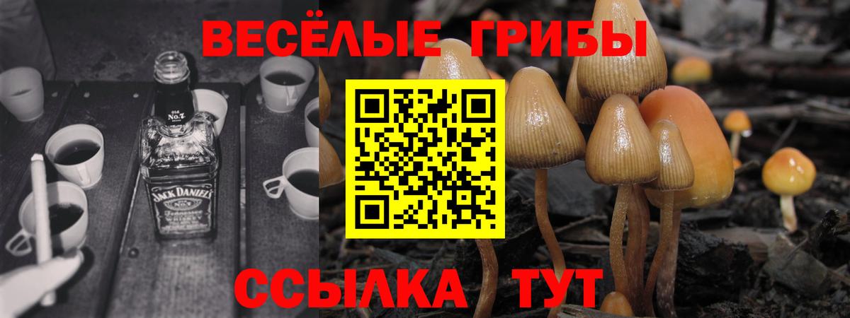 Лесосибирск  Галлюциногенные грибы Psilocybe  Вход с VPN  Псилоцибиновые грибы мухоморы 